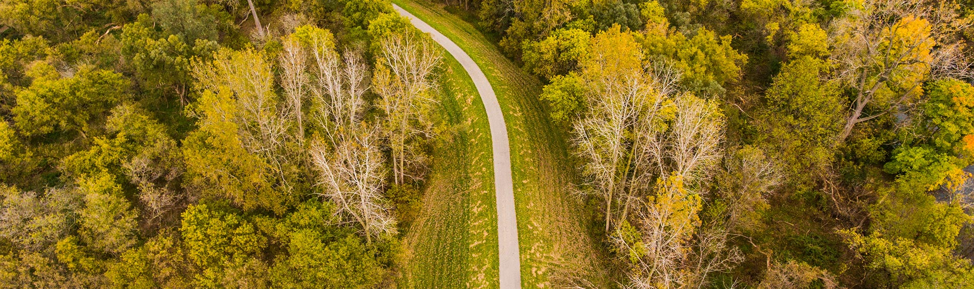 aerial view or trees and trail