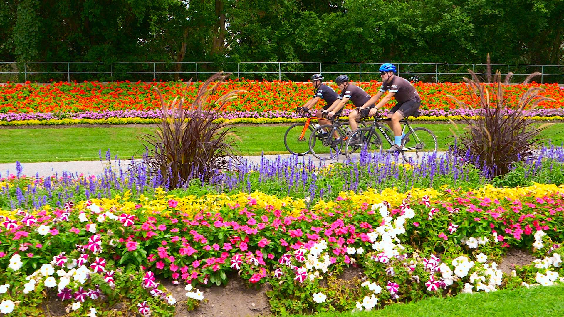 cycling in Lorne Park