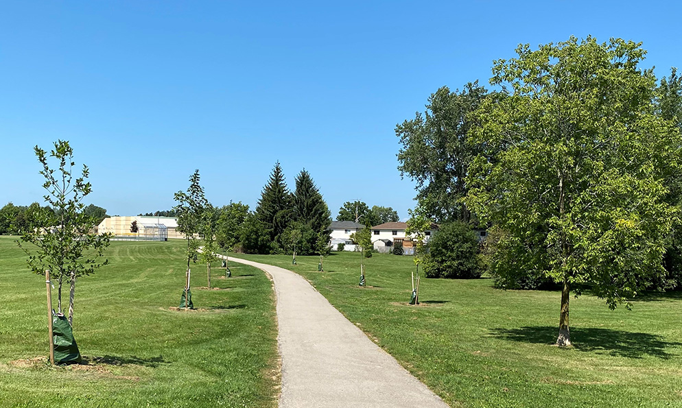 City Park Tree Planting