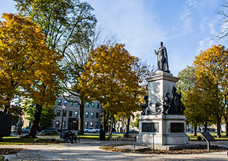 Park and trees