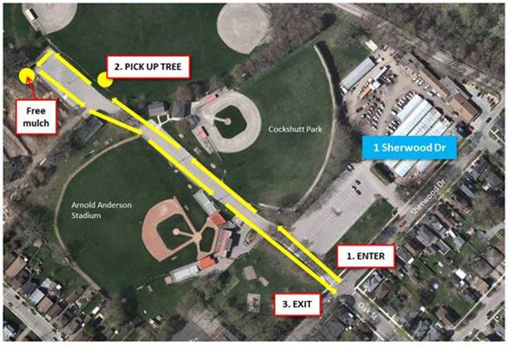 On Friday, please enter parking lot off of Sherwood Drive at Oak Street entrance. Follow signage and drive straight ahead to Tree Pick up Area. To exit, follow the direction of traffic to the left and loop around the parking lot and exit where you entered.