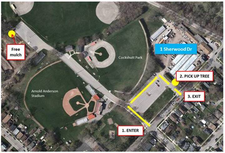 Please enter parking lot off of Sherwood Drive at Oak Street entrance. Follow signage, turning right and driving straight until you have to make another right to the Tree Pick Up Area. To exit, drive straight ahead.