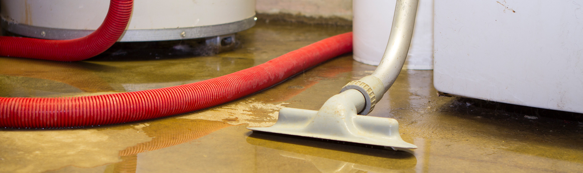 water in basement with hose