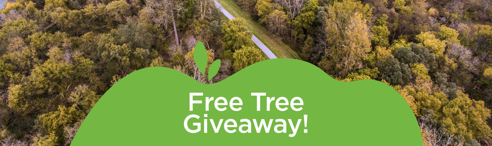 Free Tree Giveaway