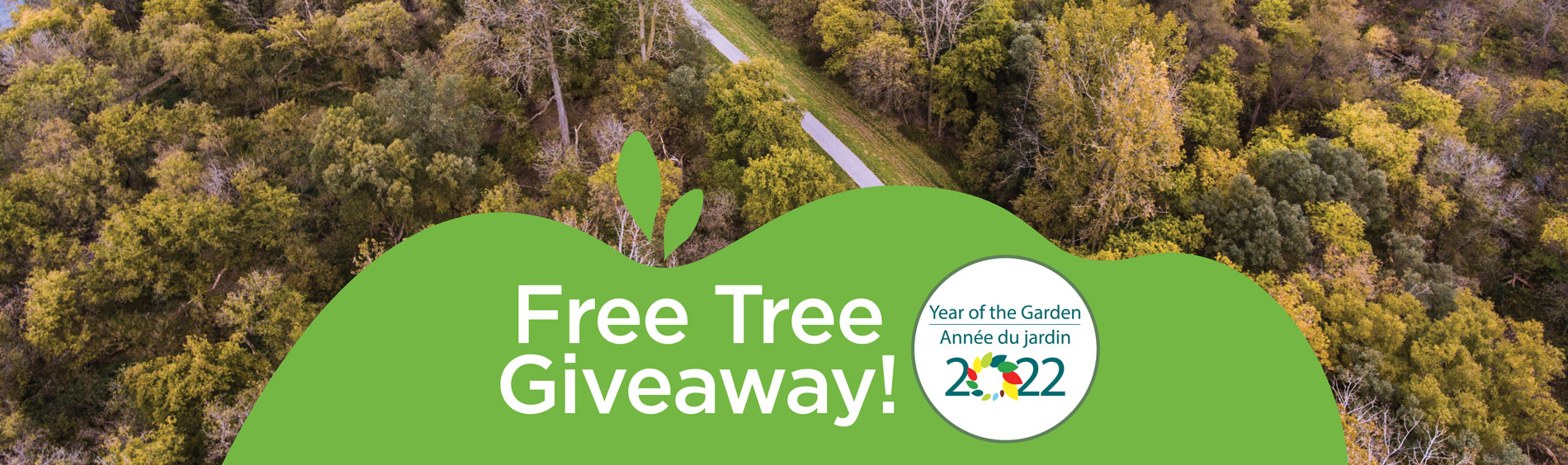 Free Tree Giveaway