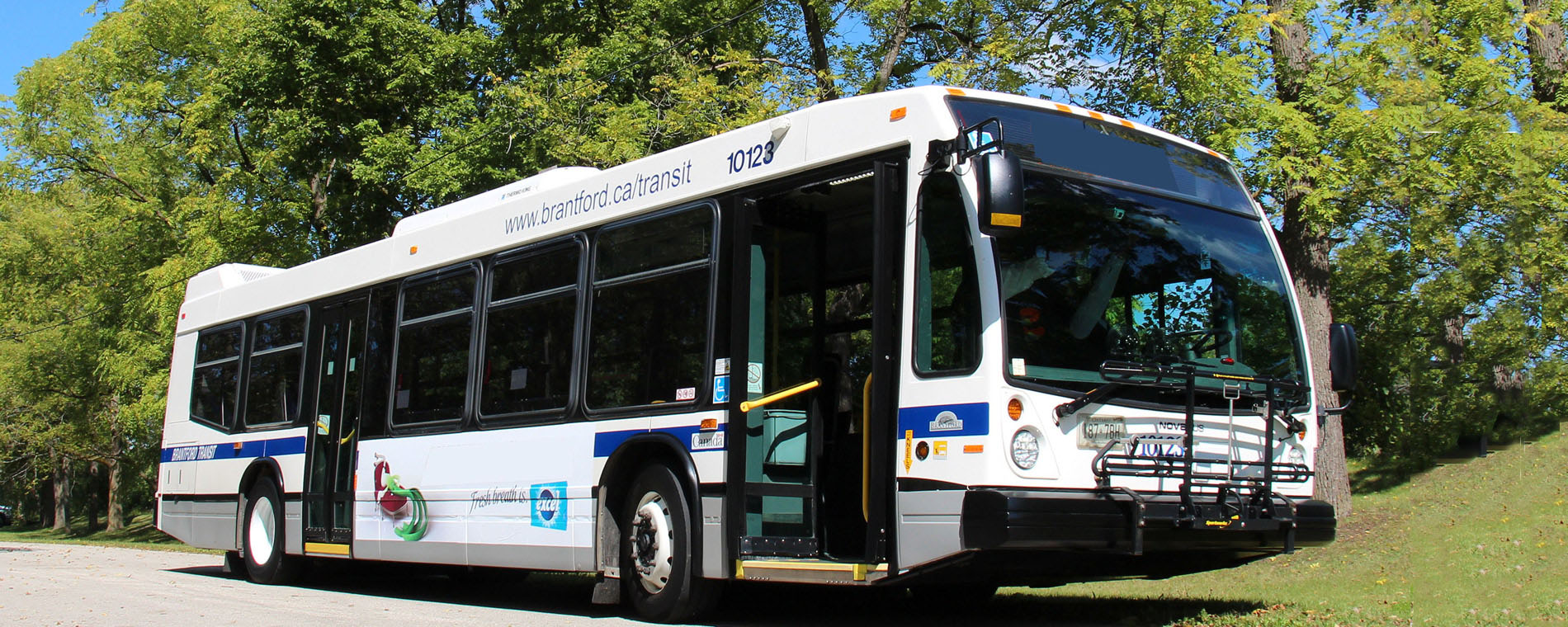 Brantford Transit buses