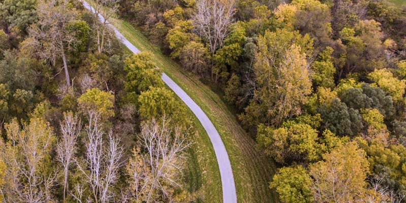 Highway along the forest for Climate Change