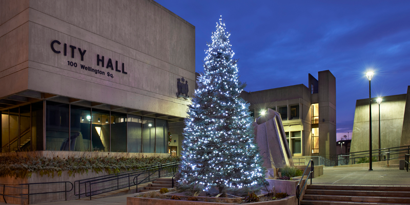 City Hall with Christmas Tree