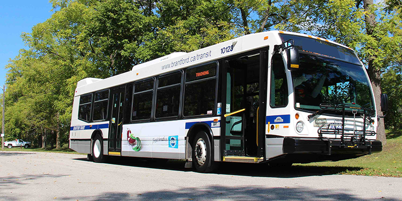 Brantford Transit Bus