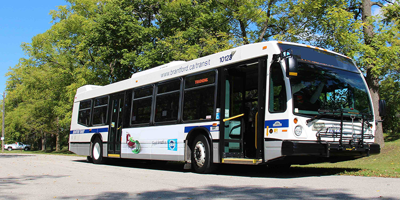 Brantford Transit Bus