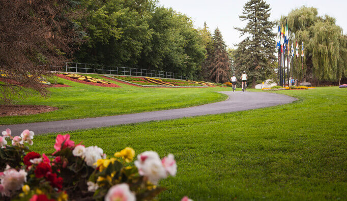 Park in summer with flowers