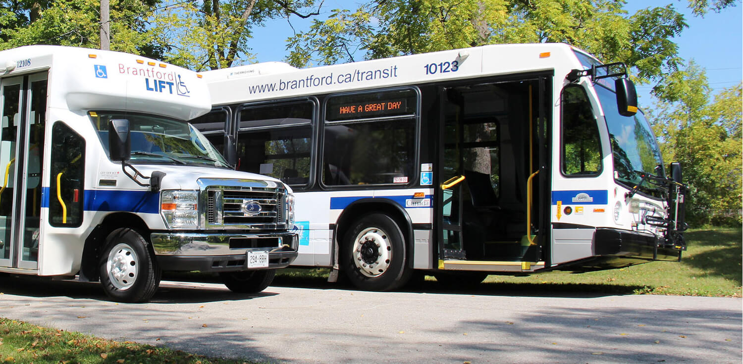Brantford Transit buses