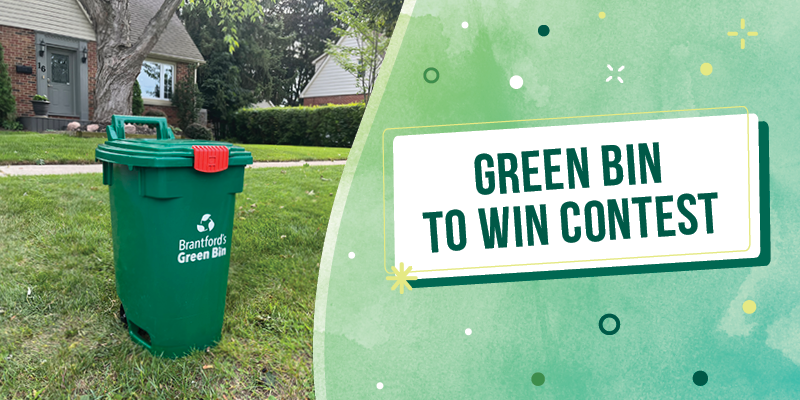 Green Bin To Win Contest