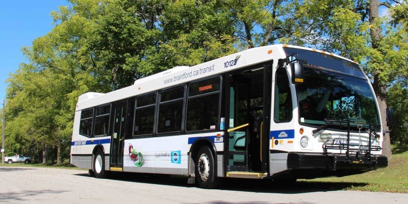 Brantford Transit Bus