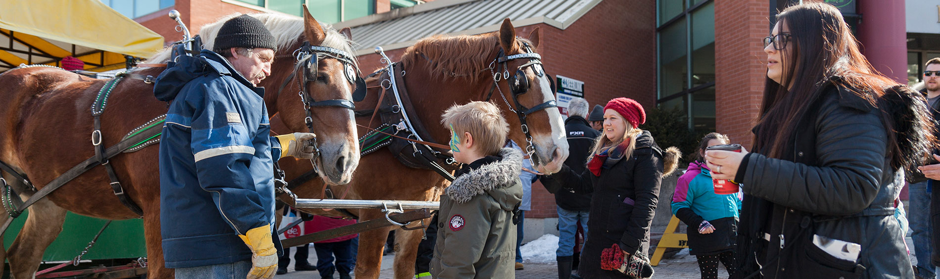 Frosty Fest Horse Drawn Trolley