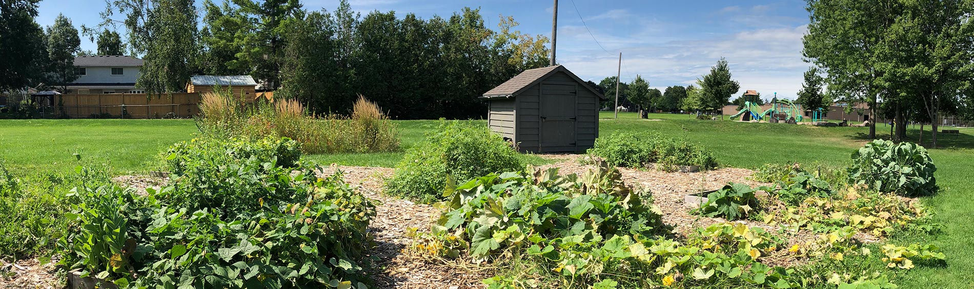 Cedarland Park community garden