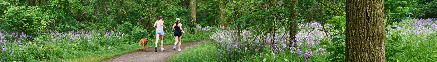 Two people running on a beautiful trail with their dog