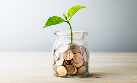 Jar of pennies with a budding leaf growing out of the jar