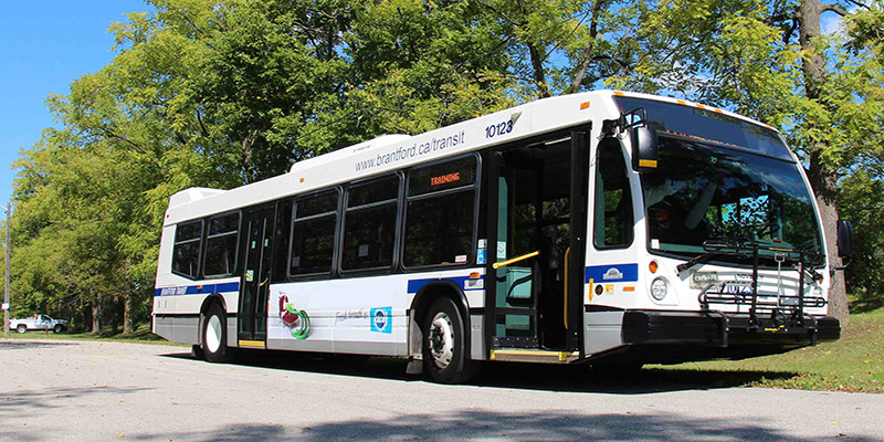 Brantford Transit bus