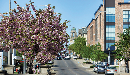 Downtown Brantford