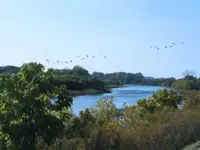 Grand River Brantford