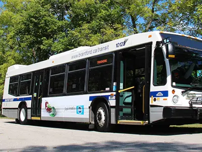 NEWS-Brantford-Transit-Bus.jpg