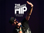 The Hip Experience
