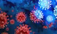 Infectious-Disease.jpg