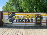 Brantford Bulldogs (Tim Nijenhuis)