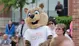 Harmony Squirrel