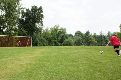 Sports-Fields.png