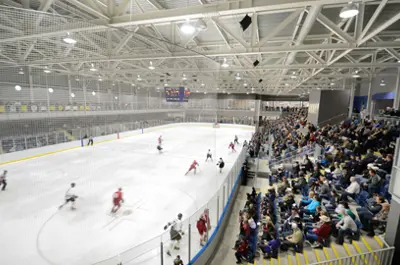 Arenas-and-Rinks.jpg
