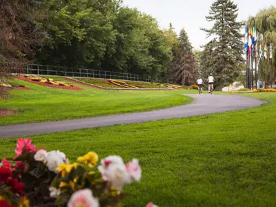 Park in summer with flowers