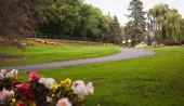 Park in summer with flowers