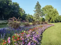 Lorne Park Brantford