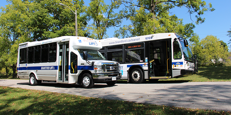 Brantford Transit Bus