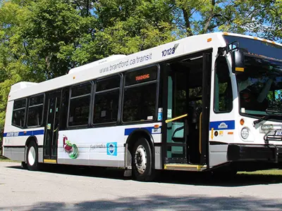 Transit--News_.jpg