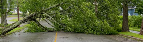 extreme-weather-banner-1900x564.jpeg