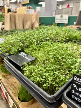 JD Microgreens