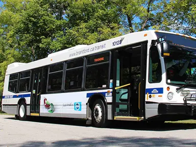 NEWS-Brantford-Transit-Bus.jpg