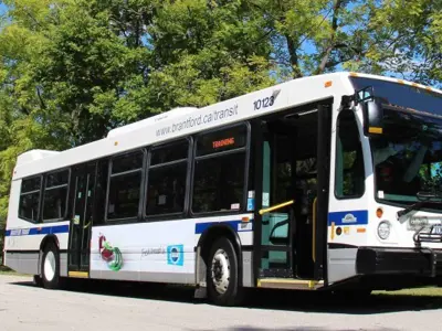 Transit-Bus-News.jpg